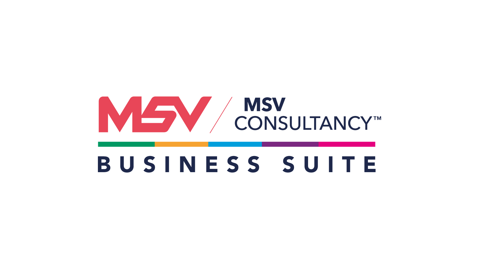 Msv business branding logo 1600x1200